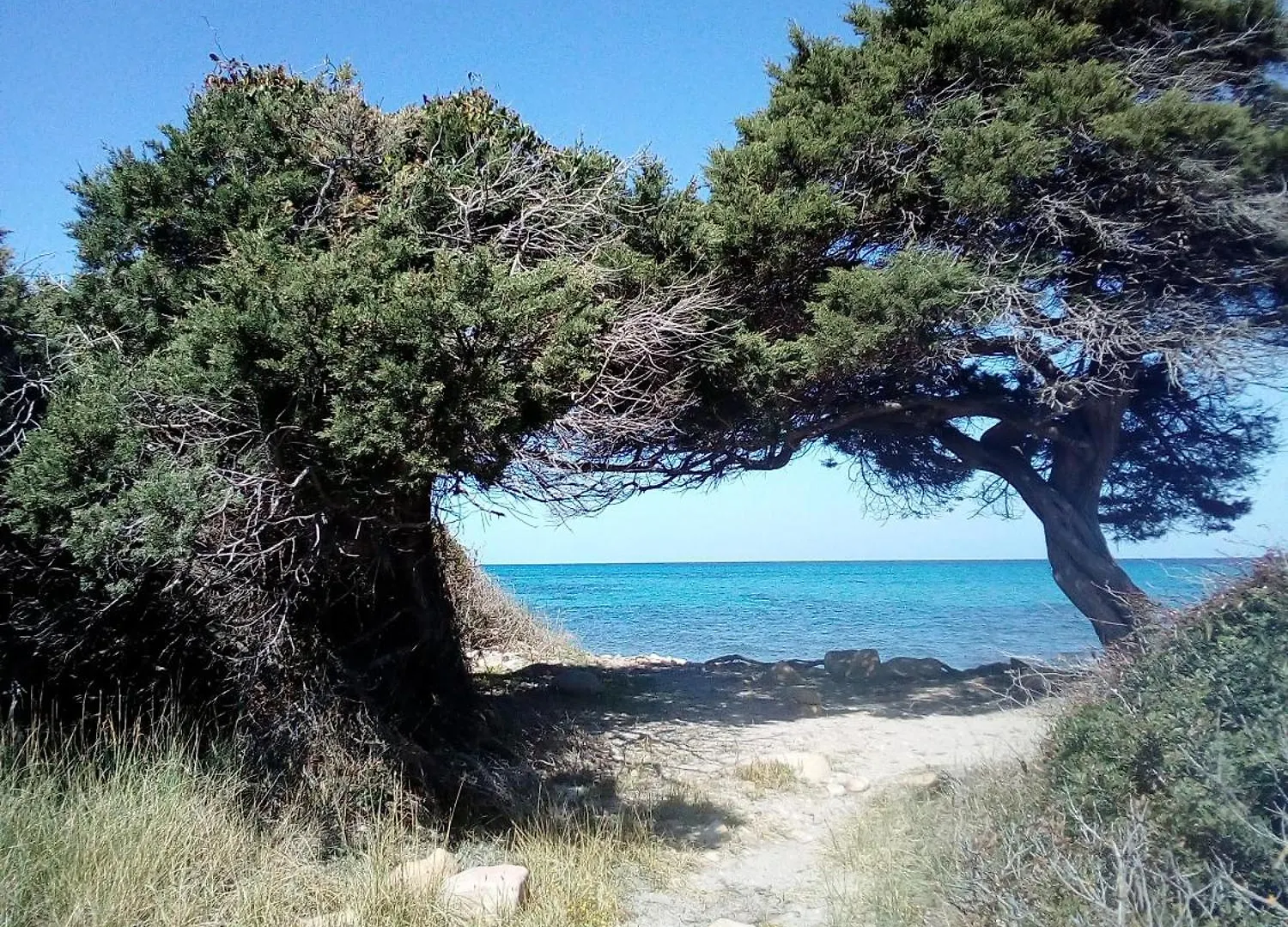 Farri'S Apartment La Caletta Italien